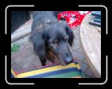 fhf2005-4--006 * 614 x 461 * (48KB)