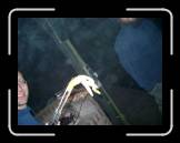 fhf2005-4--061 * 614 x 461 * (37KB)