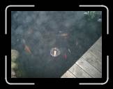 fhf2005-4--083 * 614 x 461 * (37KB)