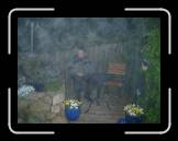 fhf2005-4--084 * 614 x 461 * (45KB)