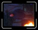 fhf2005-4--147 * 614 x 461 * (25KB)